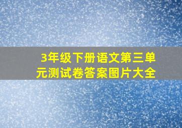 3年级下册语文第三单元测试卷答案图片大全