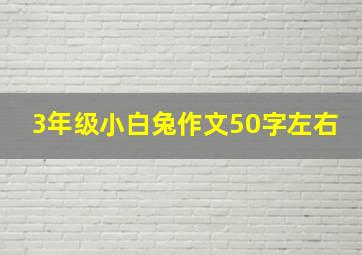 3年级小白兔作文50字左右