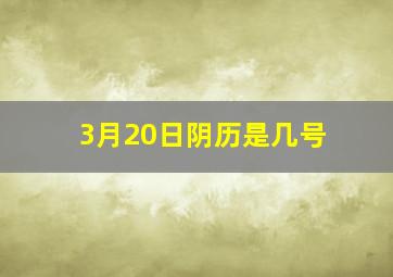 3月20日阴历是几号