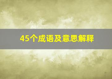 45个成语及意思解释