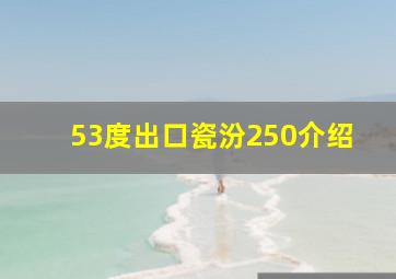 53度出口瓷汾250介绍