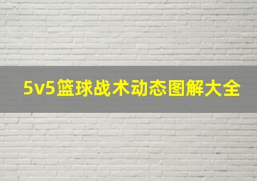 5v5篮球战术动态图解大全