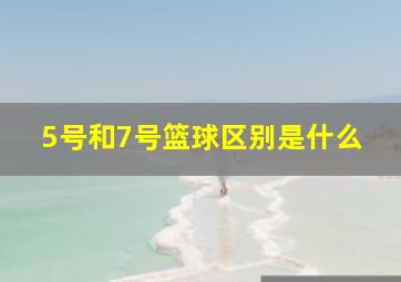 5号和7号篮球区别是什么