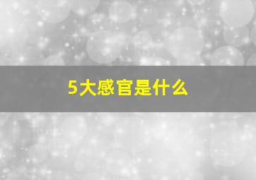 5大感官是什么