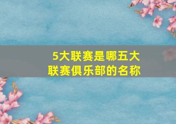 5大联赛是哪五大联赛俱乐部的名称