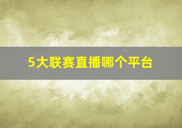 5大联赛直播哪个平台