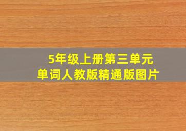 5年级上册第三单元单词人教版精通版图片