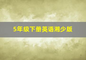 5年级下册英语湘少版