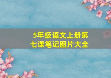 5年级语文上册第七课笔记图片大全