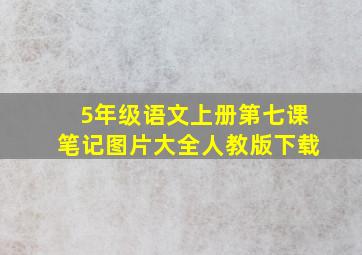 5年级语文上册第七课笔记图片大全人教版下载