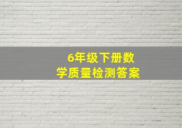 6年级下册数学质量检测答案