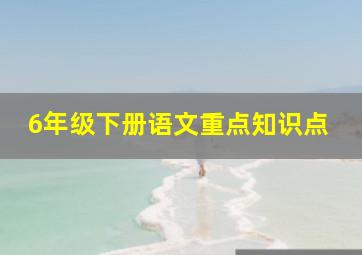 6年级下册语文重点知识点