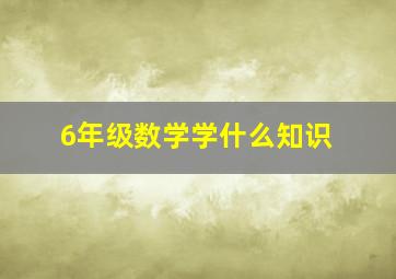 6年级数学学什么知识