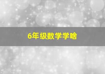 6年级数学学啥