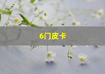 6门皮卡