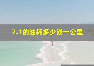 7.1的油耗多少钱一公里