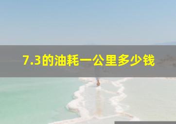 7.3的油耗一公里多少钱