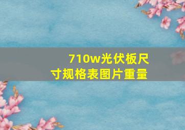 710w光伏板尺寸规格表图片重量