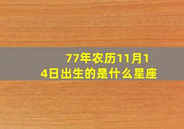 77年农历11月14日出生的是什么星座