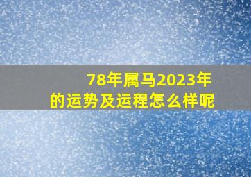 78年属马2023年的运势及运程怎么样呢