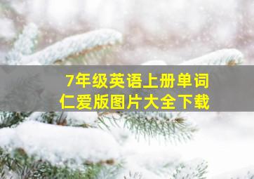 7年级英语上册单词仁爱版图片大全下载