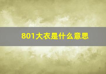 801大衣是什么意思