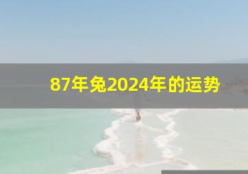 87年兔2024年的运势