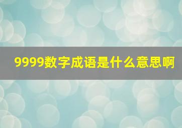 9999数字成语是什么意思啊