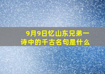 9月9日忆山东兄弟一诗中的千古名句是什么