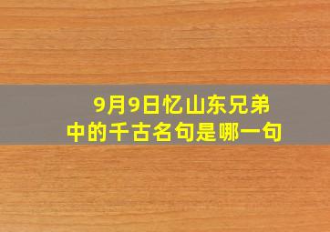 9月9日忆山东兄弟中的千古名句是哪一句