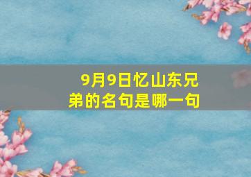 9月9日忆山东兄弟的名句是哪一句