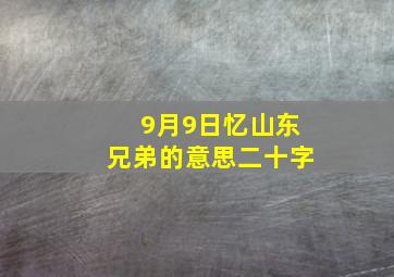 9月9日忆山东兄弟的意思二十字