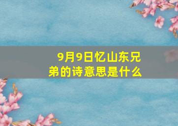 9月9日忆山东兄弟的诗意思是什么