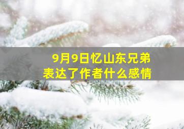 9月9日忆山东兄弟表达了作者什么感情