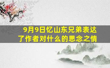 9月9日忆山东兄弟表达了作者对什么的思念之情