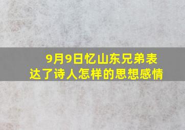 9月9日忆山东兄弟表达了诗人怎样的思想感情