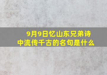 9月9日忆山东兄弟诗中流传千古的名句是什么