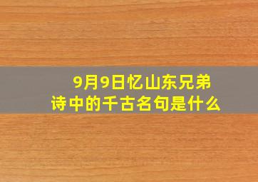 9月9日忆山东兄弟诗中的千古名句是什么