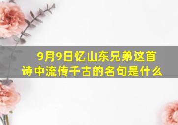 9月9日忆山东兄弟这首诗中流传千古的名句是什么