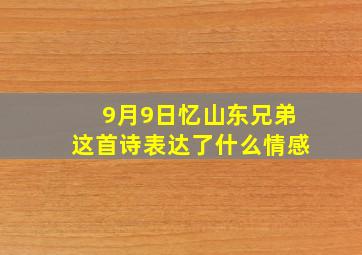 9月9日忆山东兄弟这首诗表达了什么情感