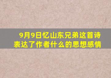 9月9日忆山东兄弟这首诗表达了作者什么的思想感情