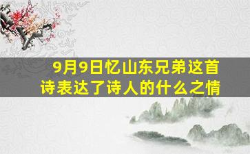 9月9日忆山东兄弟这首诗表达了诗人的什么之情