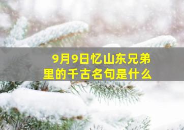 9月9日忆山东兄弟里的千古名句是什么