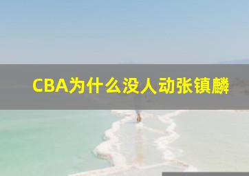 CBA为什么没人动张镇麟