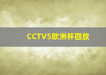 CCTV5欧洲杯回放