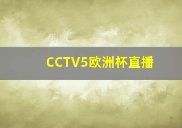 CCTV5欧洲杯直播