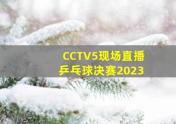 CCTV5现场直播乒乓球决赛2023