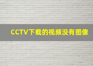 CCTV下载的视频没有图像