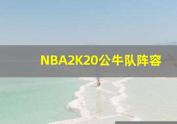 NBA2K20公牛队阵容