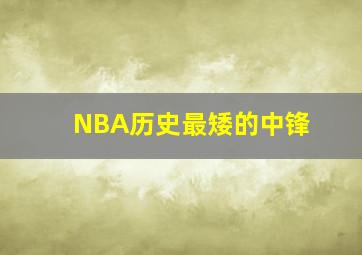 NBA历史最矮的中锋